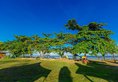 Beringgis Beach Resort & Spa в Борнео Малайзия ✅. Забронировать номер онлайн по выгодной цене в Beringgis Beach Resort & Spa. Трансфер из аэропорта.