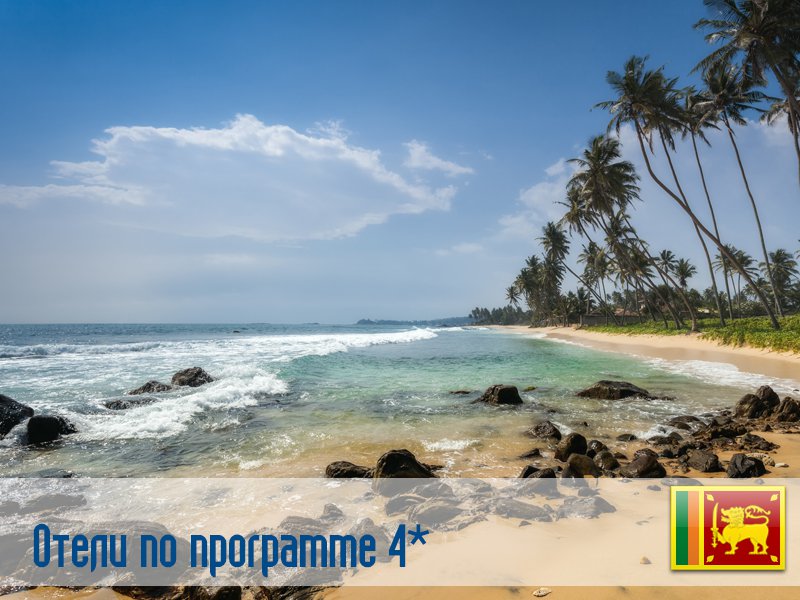 (4) Отель по программе (Шри-Ланка) в Шри-Ланка (регион по программе) Шри-Ланка ✅. Забронировать номер онлайн по выгодной цене в (4) Отель по программе (Шри-Ланка). Трансфер из аэропорта.