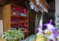 Blue Paradise Resort в Фукуок Вьетнам ✅. Забронировать номер онлайн по выгодной цене в Blue Paradise Resort. Трансфер из аэропорта.