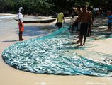 Bord Mer Villa в Маэ Сейшелы ✅. Забронировать номер онлайн по выгодной цене в Bord Mer Villa. Трансфер из аэропорта.