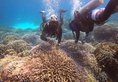 Boulder Bay Eco Resort в остров Боулдер «Валун» Мьянма ✅. Забронировать номер онлайн по выгодной цене в Boulder Bay Eco Resort. Трансфер из аэропорта.