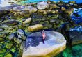 Boulder Bay Eco Resort в остров Боулдер «Валун» Мьянма ✅. Забронировать номер онлайн по выгодной цене в Boulder Bay Eco Resort. Трансфер из аэропорта.