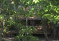 Boulder Bay Eco Resort в остров Боулдер «Валун» Мьянма ✅. Забронировать номер онлайн по выгодной цене в Boulder Bay Eco Resort. Трансфер из аэропорта.