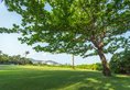 Banyan Tree Sanya в Хайнань Китай ✅. Забронировать номер онлайн по выгодной цене в Banyan Tree Sanya. Трансфер из аэропорта.