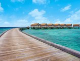 Centara Ras Fushi Resort & Spa в Атолл Северный Мале Мальдивы ✅. Забронировать номер онлайн по выгодной цене в Centara Ras Fushi Resort & Spa. Трансфер из аэропорта.