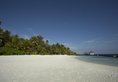Ellaidhoo Maldives By Cinnamon в Атолл Северный Ари Мальдивы ✅. Забронировать номер онлайн по выгодной цене в Ellaidhoo Maldives By Cinnamon. Трансфер из аэропорта.