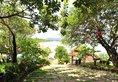 Chez Carole Resort в Фукуок Вьетнам ✅. Забронировать номер онлайн по выгодной цене в Chez Carole Resort. Трансфер из аэропорта.