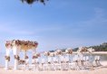 Melia Bali в регион Нуса Дуа Индонезия ✅. Забронировать номер онлайн по выгодной цене в Melia Bali. Трансфер из аэропорта.