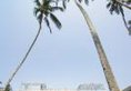 Club Waskaduwa Beach Resort & Spa в Калутара Шри-Ланка ✅. Забронировать номер онлайн по выгодной цене в Club Waskaduwa Beach Resort & Spa. Трансфер из аэропорта.
