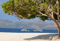 Club Paradise Palawan в Палаван Филиппины ✅. Забронировать номер онлайн по выгодной цене в Club Paradise Palawan. Трансфер из аэропорта.