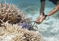 Coco Bodu Hithi в Атолл Северный Мале Мальдивы ✅. Забронировать номер онлайн по выгодной цене в Coco Bodu Hithi. Трансфер из аэропорта.