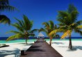 Coco Bodu Hithi в Атолл Северный Мале Мальдивы ✅. Забронировать номер онлайн по выгодной цене в Coco Bodu Hithi. Трансфер из аэропорта.