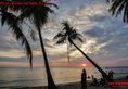 Coco Palm Beach Resort & Spa в Фукуок Вьетнам ✅. Забронировать номер онлайн по выгодной цене в Coco Palm Beach Resort & Spa. Трансфер из аэропорта.