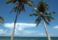 Coco Palm Beach Resort & Spa в Фукуок Вьетнам ✅. Забронировать номер онлайн по выгодной цене в Coco Palm Beach Resort & Spa. Трансфер из аэропорта.