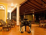 Cocoon Sea Resort в Косгода Шри Ланка ✅. Забронировать номер онлайн по выгодной цене в Cocoon Sea Resort. Трансфер из аэропорта.