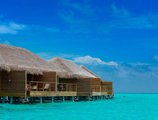 Cocoon Maldives в Атолл Лавияни Мальдивы ✅. Забронировать номер онлайн по выгодной цене в Cocoon Maldives. Трансфер из аэропорта.