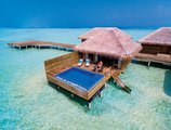 Cocoon Maldives в Атолл Лавияни Мальдивы ✅. Забронировать номер онлайн по выгодной цене в Cocoon Maldives. Трансфер из аэропорта.