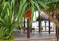 Cocoon Maldives в Атолл Лавияни Мальдивы ✅. Забронировать номер онлайн по выгодной цене в Cocoon Maldives. Трансфер из аэропорта.
