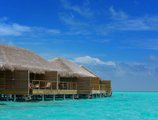 Cocoon Maldives в Атолл Лавияни Мальдивы ✅. Забронировать номер онлайн по выгодной цене в Cocoon Maldives. Трансфер из аэропорта.