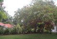 Daniella's Bungalow в Маэ Сейшелы ✅. Забронировать номер онлайн по выгодной цене в Daniella's Bungalow. Трансфер из аэропорта.