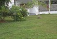 Daniella's Bungalow в Маэ Сейшелы ✅. Забронировать номер онлайн по выгодной цене в Daniella's Bungalow. Трансфер из аэропорта.