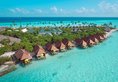 Dhigufaru Island Resor в Атолл Баа Мальдивы ✅. Забронировать номер онлайн по выгодной цене в Dhigufaru Island Resor. Трансфер из аэропорта.