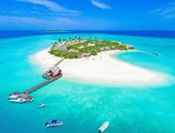 Dhigufaru Island Resor в Атолл Баа Мальдивы ✅. Забронировать номер онлайн по выгодной цене в Dhigufaru Island Resor. Трансфер из аэропорта.