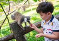 Vinpearl Discovery Wonderworld Phu Quoc в Фукуок Вьетнам ✅. Забронировать номер онлайн по выгодной цене в Vinpearl Discovery Wonderworld Phu Quoc. Трансфер из аэропорта.