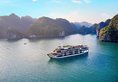 Alisa or Rita Halong Cruise в Халонг Вьетнам ✅. Забронировать номер онлайн по выгодной цене в Alisa or Rita Halong Cruise. Трансфер из аэропорта.