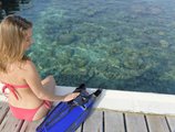 Eriyadu Island Resort в Атолл Северный Мале Мальдивы ✅. Забронировать номер онлайн по выгодной цене в Eriyadu Island Resort. Трансфер из аэропорта.