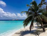 Eriyadu Island Resort в Атолл Северный Мале Мальдивы ✅. Забронировать номер онлайн по выгодной цене в Eriyadu Island Resort. Трансфер из аэропорта.
