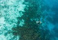 Eriyadu Island Resort в Атолл Северный Мале Мальдивы ✅. Забронировать номер онлайн по выгодной цене в Eriyadu Island Resort. Трансфер из аэропорта.
