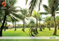 Famiana Resort в Фукуок Вьетнам ✅. Забронировать номер онлайн по выгодной цене в Famiana Resort. Трансфер из аэропорта.