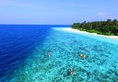 Fihalhohi Island Resort в Атолл Южный Мале Мальдивы ✅. Забронировать номер онлайн по выгодной цене в Fihalhohi Island Resort. Трансфер из аэропорта.