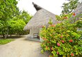 Fihalhohi Island Resort в Атолл Южный Мале Мальдивы ✅. Забронировать номер онлайн по выгодной цене в Fihalhohi Island Resort. Трансфер из аэропорта.