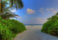 Fihalhohi Island Resort в Атолл Южный Мале Мальдивы ✅. Забронировать номер онлайн по выгодной цене в Fihalhohi Island Resort. Трансфер из аэропорта.