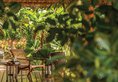 Four Seasons Resort в Лангкави Малайзия ✅. Забронировать номер онлайн по выгодной цене в Four Seasons Resort. Трансфер из аэропорта.