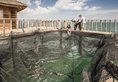 Four Seasons Resort в Лангкави Малайзия ✅. Забронировать номер онлайн по выгодной цене в Four Seasons Resort. Трансфер из аэропорта.