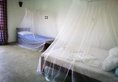 Frangipani Beach Villa в Тангалле Шри-Ланка ✅. Забронировать номер онлайн по выгодной цене в Frangipani Beach Villa. Трансфер из аэропорта.