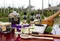 Fusion Resort Phu Quoc в Фукуок Вьетнам ✅. Забронировать номер онлайн по выгодной цене в Fusion Resort Phu Quoc. Трансфер из аэропорта.