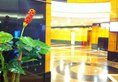 Gardford International Hotel в Гуанчжоу Китай ✅. Забронировать номер онлайн по выгодной цене в Gardford International Hotel. Трансфер из аэропорта.
