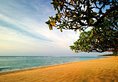 Grand Hyatt Bali Nusa Dua в регион Нуса Дуа Индонезия ✅. Забронировать номер онлайн по выгодной цене в Grand Hyatt Bali Nusa Dua. Трансфер из аэропорта.