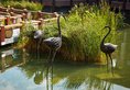 Grand Hyatt Sanya Haitang Bay Resort&Spa в Хайнань Китай ✅. Забронировать номер онлайн по выгодной цене в Grand Hyatt Sanya Haitang Bay Resort&Spa. Трансфер из аэропорта.