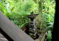 Gunung Merta bungalows Ubud в регион Убуд Индонезия ✅. Забронировать номер онлайн по выгодной цене в Gunung Merta bungalows Ubud. Трансфер из аэропорта.