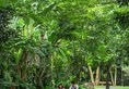 Narada Resort & Spa Qixian Mount в Хайнань Китай ✅. Забронировать номер онлайн по выгодной цене в Narada Resort & Spa Qixian Mount. Трансфер из аэропорта.