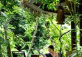 Narada Resort & Spa Qixian Mount в Хайнань Китай ✅. Забронировать номер онлайн по выгодной цене в Narada Resort & Spa Qixian Mount. Трансфер из аэропорта.