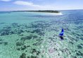 Holiday Island Resort & Spa в Атол Алиф Дхаал Мальдивы ✅. Забронировать номер онлайн по выгодной цене в Holiday Island Resort & Spa. Трансфер из аэропорта.