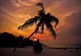 Holiday Island Resort & Spa в Атол Алиф Дхаал Мальдивы ✅. Забронировать номер онлайн по выгодной цене в Holiday Island Resort & Spa. Трансфер из аэропорта.