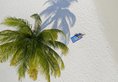 Holiday Island Resort & Spa в Атол Алиф Дхаал Мальдивы ✅. Забронировать номер онлайн по выгодной цене в Holiday Island Resort & Spa. Трансфер из аэропорта.
