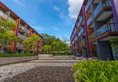 Holiday Inn Express Phuket Patong Beach Central в Пхукет Таиланд ✅. Забронировать номер онлайн по выгодной цене в Holiday Inn Express Phuket Patong Beach Central. Трансфер из аэропорта.